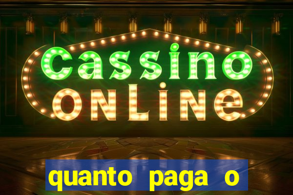 quanto paga o jungle fight